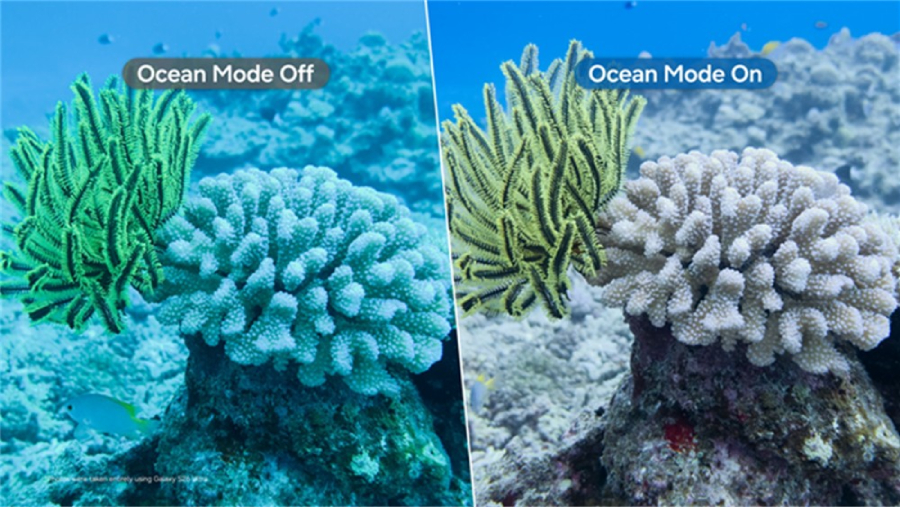 Samsung Galaxy Ocean Mode raih penghargaan internasional lewat inisiatif Coral in Focus, bantu restorasi terumbu karang global.