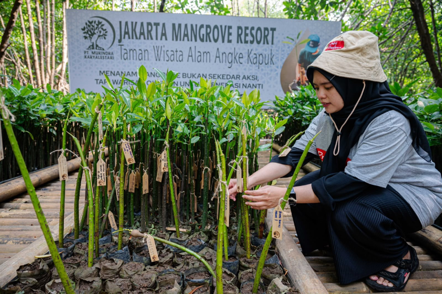 Prudential Indonesia bersama CarbonEthics menanam 5.500 mangrove untuk membantu melindungi pesisir Jakarta dari abrasi dan perubahan iklim.