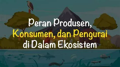 Jelaskan Peranan Produsen Konsumen dan Pengurai Terlengkap