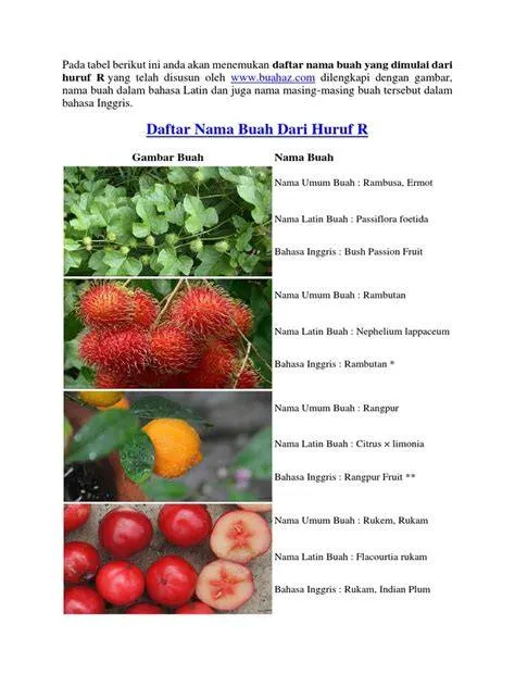 Nama Buah Dari Huruf R Terlengkap dan Mudah Diingat