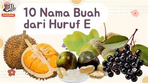 Buah Dari Huruf E Terlengkap dan Mudah Dikenali